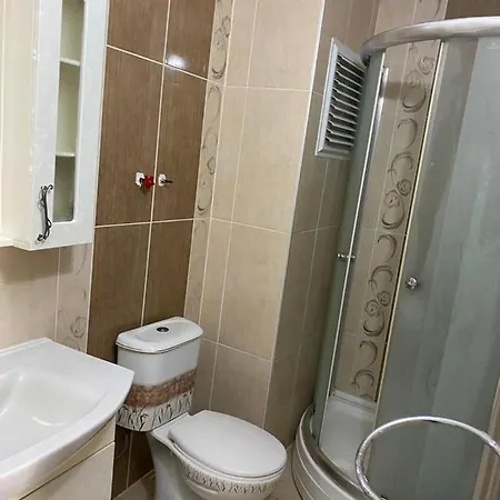 Europasia Case de vacanță